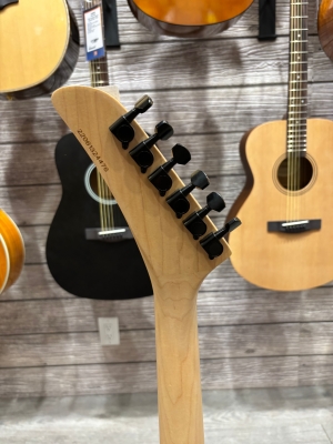 Kramer Striker HSS Floyd - Ebony 6