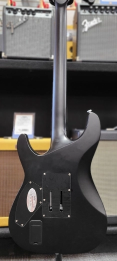 SCHECTER DAMIEN PLATINUM 2