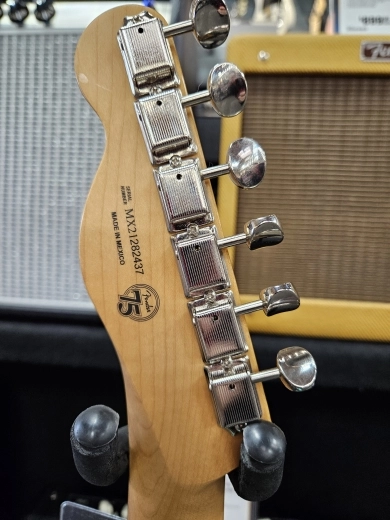Fender - 014-9893-373 2