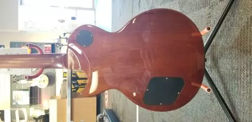 Epiphone - EILMFCLNH 2