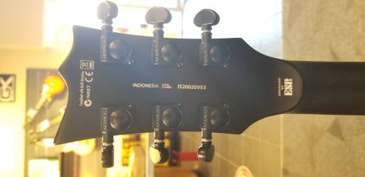 ESP Guitars - LVIPER400BBLKS 4