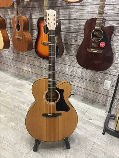 Gibson - ACG20ANNH