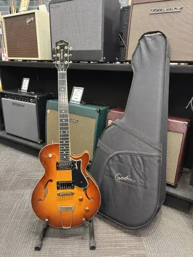 Godin Guitars - G39852