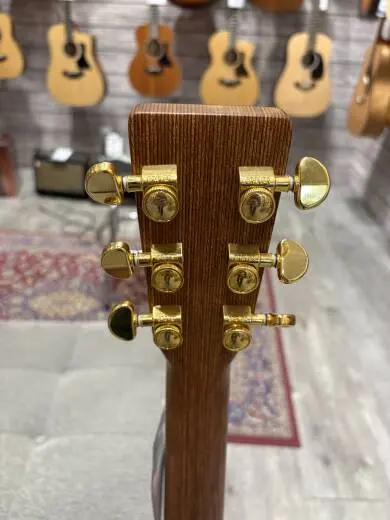 Martin Guitars - DX1AE 2