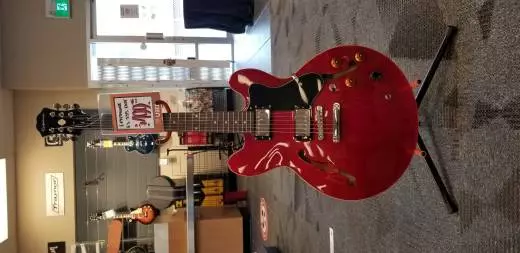 Epiphone - EDOTCHCH