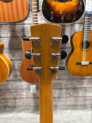 Cort Earth-100 Acoustic Natural 2