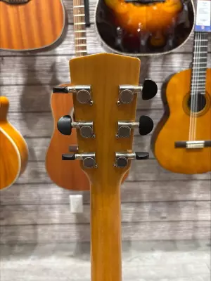 Cort Earth-100 Acoustic Natural 6