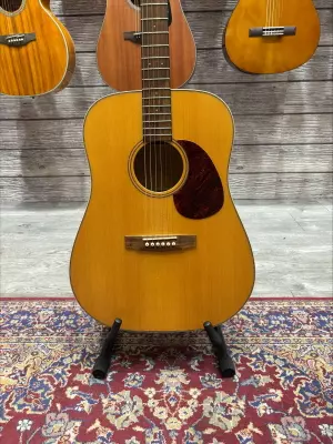 Cort Earth-100 Acoustic Natural 2
