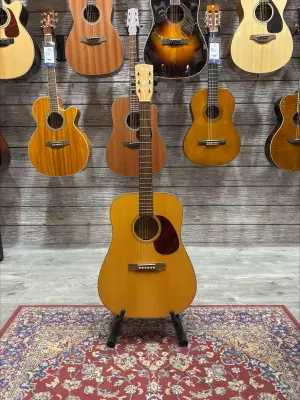 Cort Earth-100 Acoustic Natural