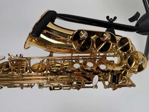 Carlton Lacquered Alto Saxophone w/Case 2