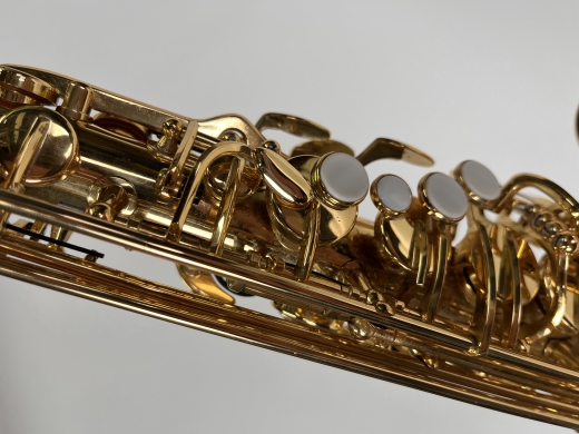 Carlton Lacquered Alto Saxophone w/Case 3