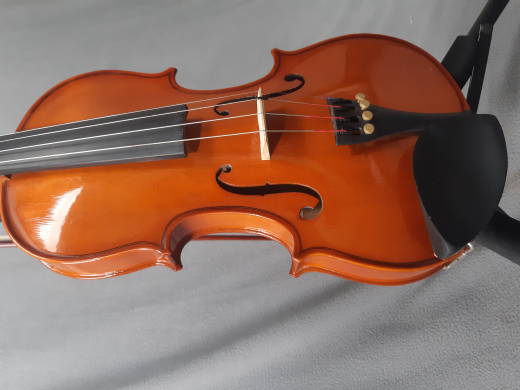 Stentor Standard Violin Outfit 4/4 Size 2