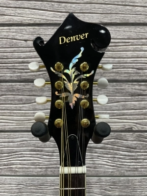 Denver  F-Style Mandolin 2