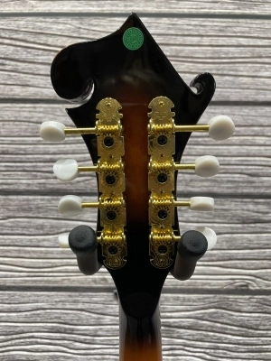 Denver  F-Style Mandolin 4