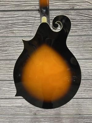 Denver  F-Style Mandolin 5