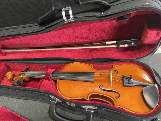 Eastman Strings - VL80LM 1/2 OF