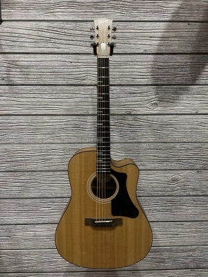 Gibson Acoustic G-Writer EC 2