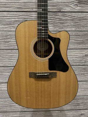 Gibson Acoustic G-Writer EC