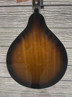 Epiphone A-Style Mandolin 2
