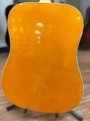 Epiphone - EEDVVBNH 2