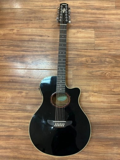 Yamaha Acoustic 12-string with Pickup