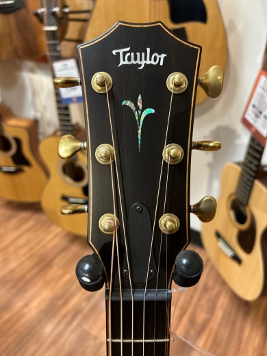 Store Special Product - Taylor Guitars - BUILD ED K24CE