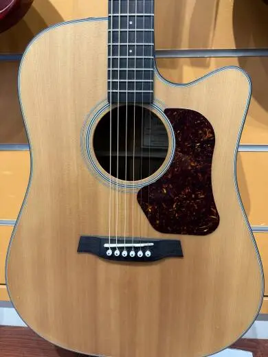 Walden D550ce