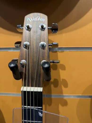 Walden D550ce 2