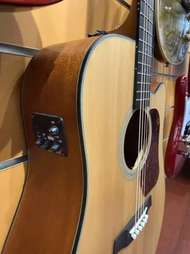 Walden D550ce 2