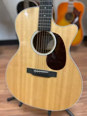 Martin Guitars - GPC-13E 2