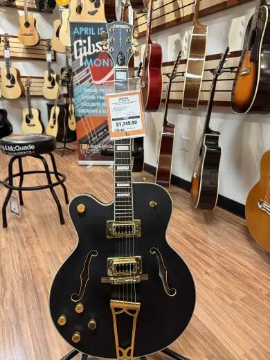 Gretsch Guitars - G5191BK Tim Armstrong (Left Handed)
