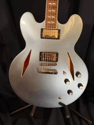 Store Special Product - Epiphone - DG-335