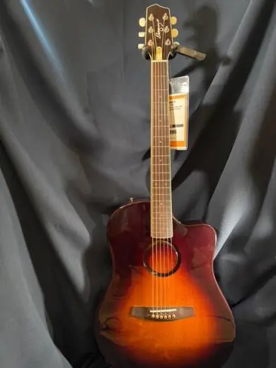 Store Special Product - L.R Baggs - AEG-1/SB