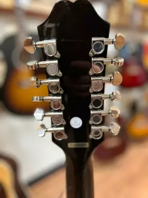 Epiphone - DR212NACH 2