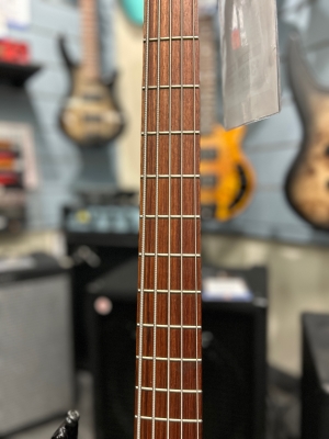 Epiphone - TBD5VSBH 3