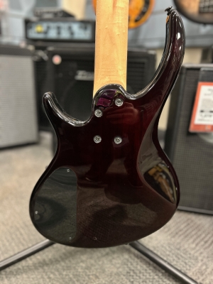 Epiphone - TBD5VSBH 6