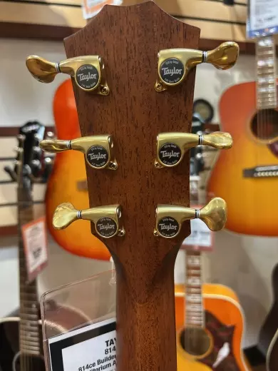 Taylor Guitars - 814CE BE 2