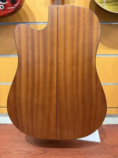 Walden D550ce 2