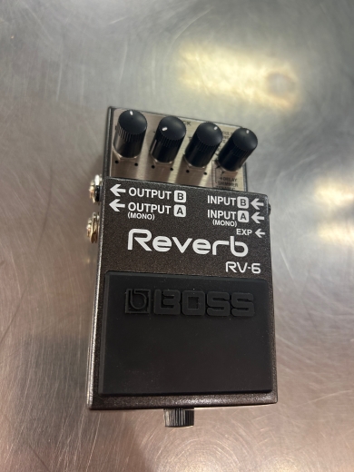 Store Special Product - BOSS - RV-6
