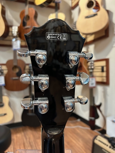 Ibanez - AS73 BS 5