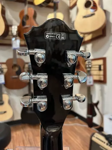 Ibanez - AS73 BS 5