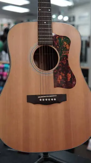 Guild Guitars - DV-4 2