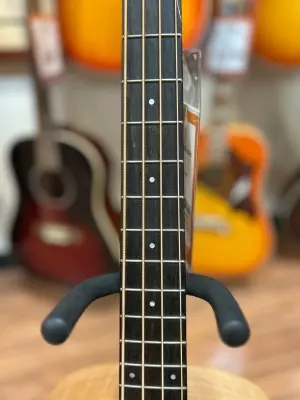 Taylor Guitars - GS MINI-E MB 2