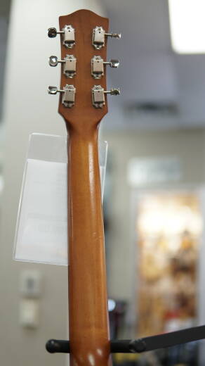 Godin Guitars - 5th Avenue Kingpin 2