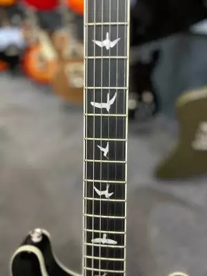PRS Guitars - 105534::FR: 2