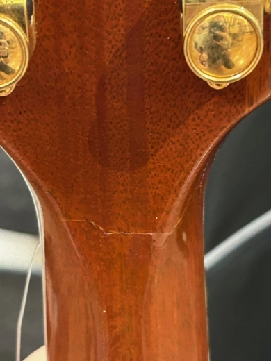 GIBSON LES PAUL SUPREME - ROOT BEER 2