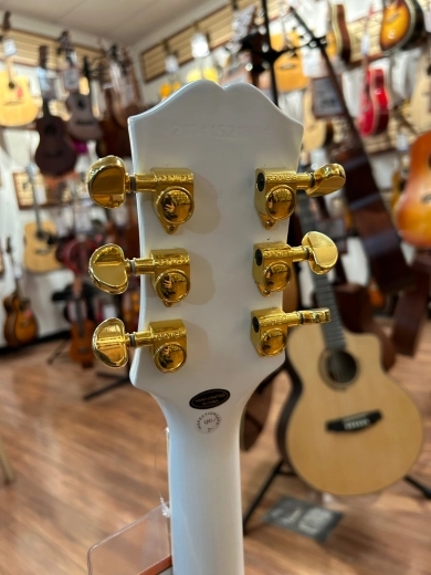 Epiphone - EILCAWGH 5