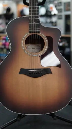 Taylor Guitars - 214CE-K SEB 2