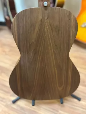 Gibson - ACG00ANNH 2