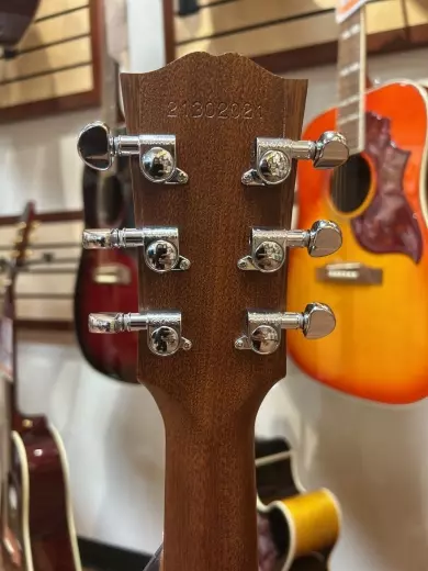 Gibson - ACG00ANNH 2